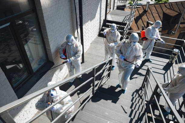 Environmental Consulting for Mold Prevention in South Bay, FL